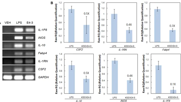 Fig. 4. Confirmation of microarray data with RT-PCR and real-time PCR. Mouse RAW 264.7 cells were treated with 150 μg/ml of KSD-E4-3 and 0.2 μg/ml LPS