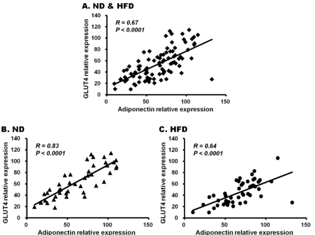 Fig. 1. Correlation of gene expression levels between adiponectin and GLUT4 in adipose tissue