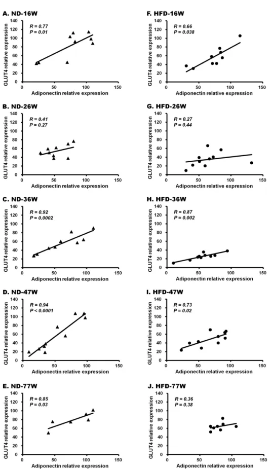 Fig. 2. Correlation analyses of gene expression levels between adiponectin and GLUT4 in separate age and diet groups