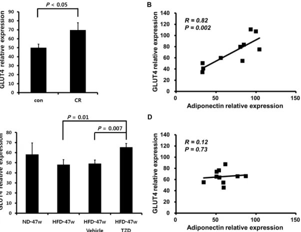Fig. 3. Gene expression levels of GLUT4 in adipose tissue from mice in CR group (A) and TZD group (C)