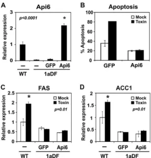 FIG 6 Api6 mRNA level and apoptosis level after overexpression of Api6 in SREBP-1aDF macrophages