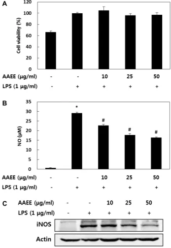 Fig. 4. Effect of AAEE on cell viability (A), LPS-induced NO formation (B), and iNOS protein expression (C) in RAW 264.7 cells