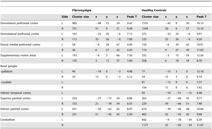 Table 2. 2-back minus 0-back activation one sample t-test (FDR corrected for multiple comparison, P,0.01 and minimum cluster size of 64).