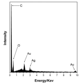 Figure  4.  EDX  analysis  identified  silver  in  surface  of  Ag 0 TC. The sample was gold sputtered under high vacuum  before the analysis