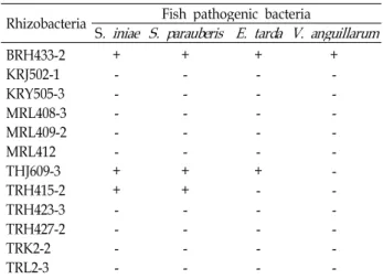 Table 1. Inhibitory effect of rhizobacteria against fish bacterial pathogens