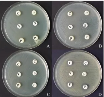 Fig. 2. Antibacterial activity of THJ609-3 against S. iniae (A), S.