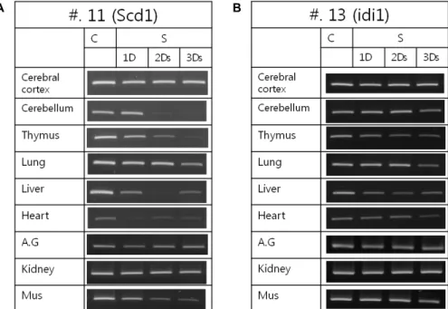 Fig. 2. Starvation changes the expression of two genes in the various rat organs. (A) Starvation (1-3 day) changes Scd1 mRNA expression in the various rat organs