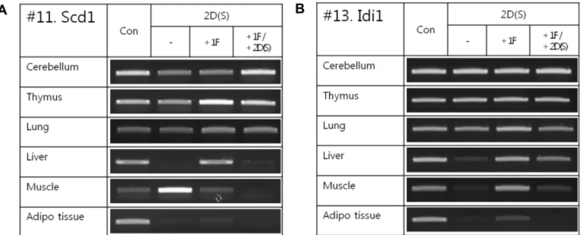Fig. 3. Intermittent starvation changes Scd1/Idi1 mRNA expression in the various rat organs