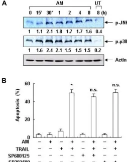 Fig. 3. Effects of anisomycin on the activation of JNK and p38 MAPK in Hep3B cells. (A) Hep3B cells were treated with 200 ng/ml anisomycin (AM) for the indicated times
