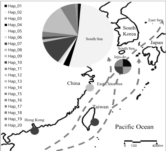 Fig. 1. Haplotype distribution of COI gene sequences of Hong Kong grouper. Numbers of COI sequences for the populations of Red Spotted groupers are seventy five (South Sea, South Korea), four (Jeju-do, South Korea) and one (Taiwan, Hong Kong and China)