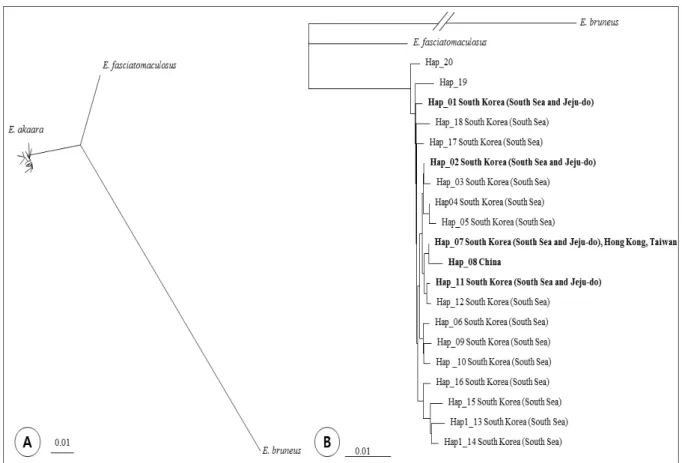 Fig. 2. Neighbor-joining (NJ) trees based on the sequence polymporphisms among the COI haplotypes in the Red Spotted grouper ( E