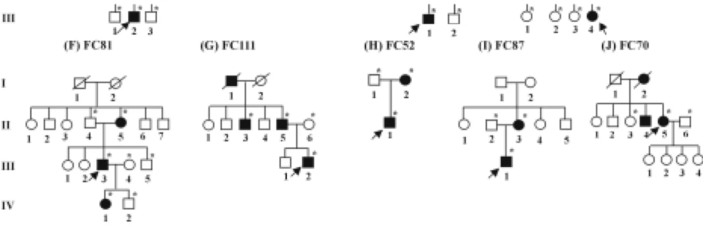 Figure 3. Pedigrees of CMT2A families with MFN2 mutations. The available DNA samples are indicated by asterisks (*)
