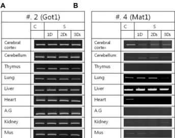 Fig. 2. Starvation changes the expression of two genes in the various rat organs. (A) Starvation (1-3 day) changes Got1 mRNA expression in the various rat organs