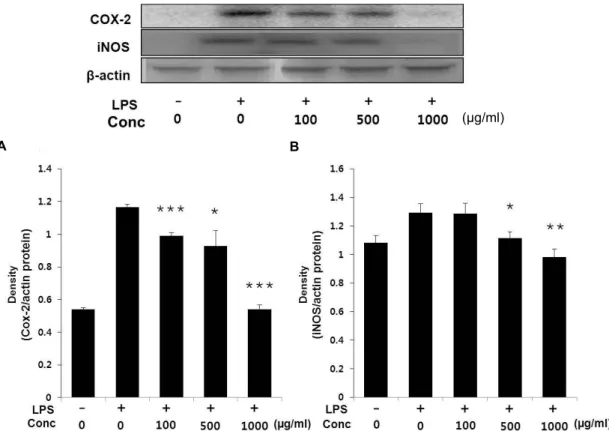 Fig. 5. Effect of dropwort vinegar on the expression of COX-2 and iNOS protein in LPS-induced RAW 264.7 macrophage