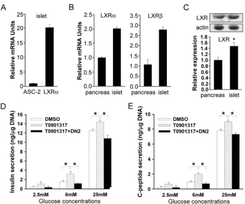 FIG. 4. Regulation of LXR-activated insulin secretion by ASC-2. (A) The expression level of LXR ␣ was compared with that of ASC-2 in islets by QPCR