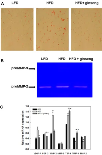 Fig. 6. Effects of ginseng on blood vessel density, MMP activity, and mRNA expression of genes involved in angiogenesis in adipose tissues of obese mice