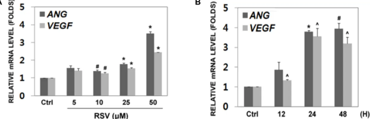 Fig. 1. Resveratrol induces the expression of ANG and VEGF in HeLa cells. (A) Cells increased the expression of ANG and VEGF under treatment with 5~50 μM of RSV for 24 hr in compared with non-treated cells, measured by real-time PCR analysis ( t -test, * p