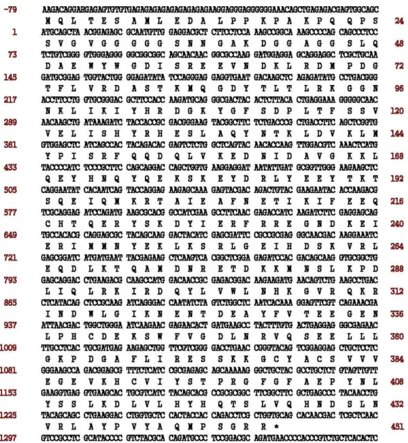 Fig. 1. Nucleotide and deduced amino acid sequences of the cDNA encoding flounder PI3K γ gene