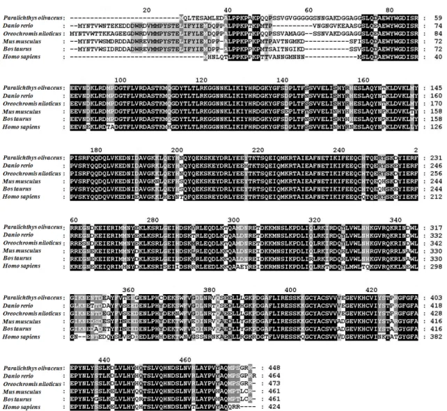 Fig. 2. Multiple alignment of deduced amino acid sequences of PI3Kγ  and other gene. The amino acid sequences are obtained from GeneBank: Paralichthys olivaceus (AY514674), Danio rerio (BC164683) Oreochromis niloticus (XM003448849), Mus musculus (NM008841)