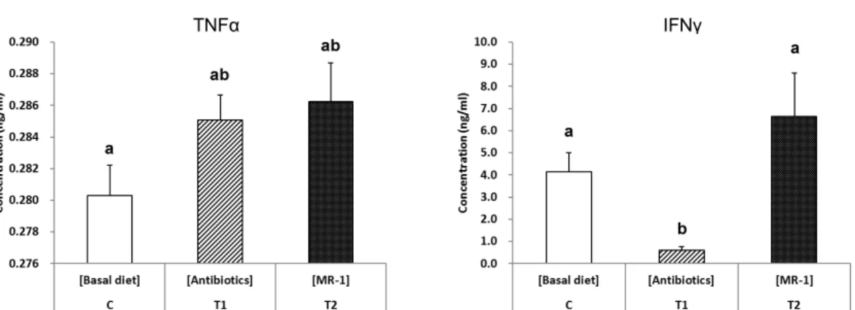 Fig. 1. Changes in the production of TNFα  and IFNγ  in plasma of weanling piglets given diet containing MR-1