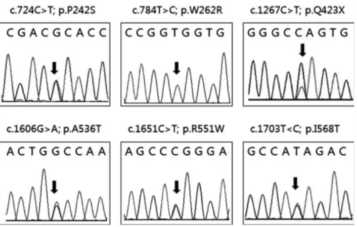 Figure 1. Nucleotide variations found in our study. Arrows in each DNA sequence trace are indicating the substituted position