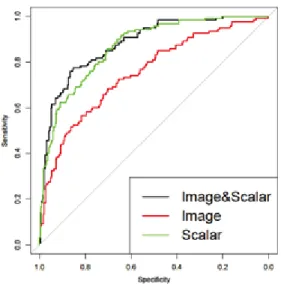 Figure 3-2 visualizes the probabilities of Alzheimer’s disease  conversion predicted with respect to each instance