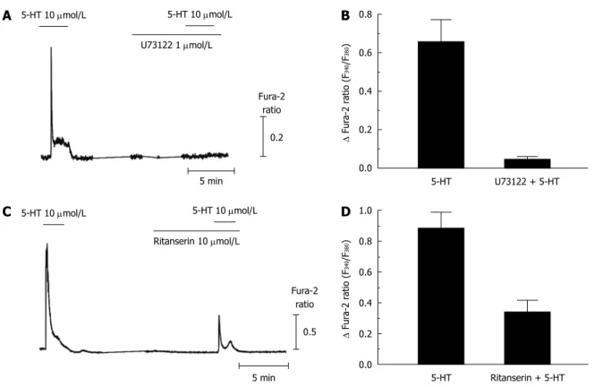 Figure 4  5-hydroxytryptamine-induced intracellular Ca 2+  concentration transients via metabotropic 5-hydroxytryptamine 2  receptor in activated hepatic  stellate cells