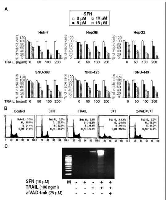 Figure 1. Effect of sulforaphane and/or TRAIL on hepatoma cell viability.