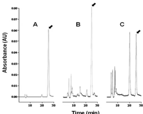 Fig. 1. Separation of hesperidin by reversed phase HPLC.