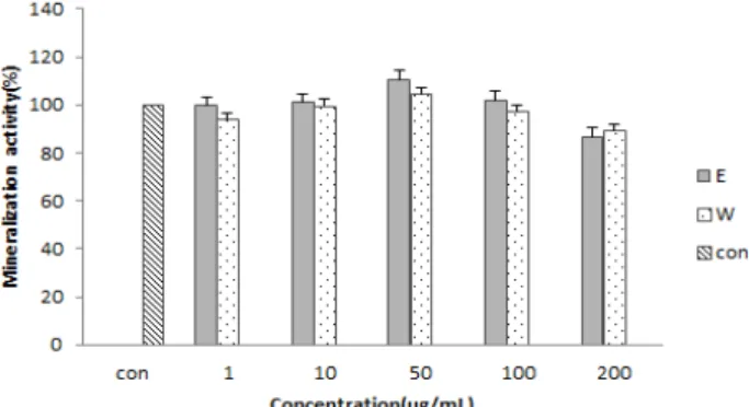 Fig. 2. Effects of E. bicyclis extracts on the mineralization of MC3T3-E1 osteoblastic cell