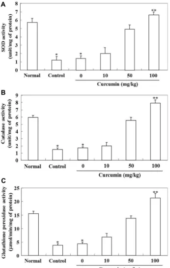 Table 1. The activities of radical scavenging enzymes at different concentrations of curcumin