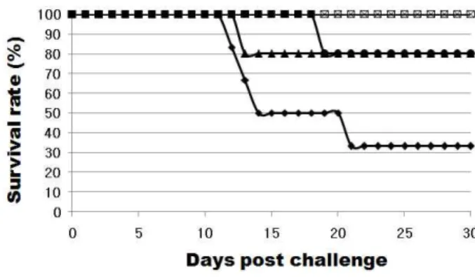 Fig. 6. Challenge test to BALB/c vaccinated via IM according to ghost strains. The virulent S