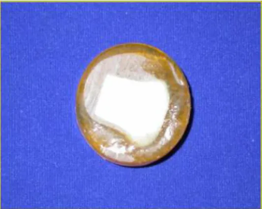 Fig. 2. Zirconia (5 ×5 × 10 ) ㎜ ㎜ ㎜