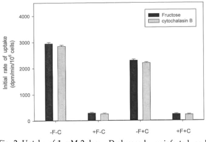 Fig. 2. Uptake of 1 mM 2-deoxy-D-glucose by uninfected- and recombinant virus infected T