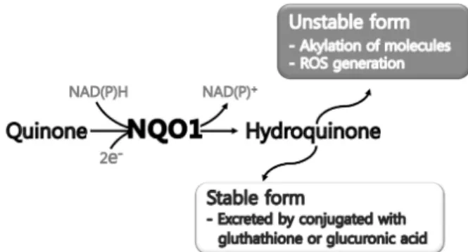 Fig. 1. Double, protection and detoxification roles of NQO1.
