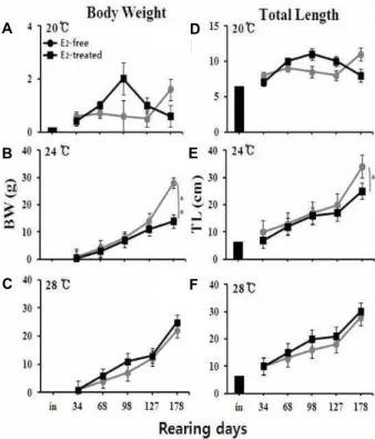 Fig. 1. Changes of body weight (BW, A~C) and total length (TL, D~F) of E2-free and estradiol-17ß (E2) treated eels in various rearing water temperature
