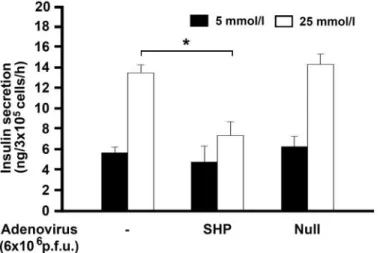 FIG. 7. Effect of SHP on GSIS by INS-1 cells. INS-1 cells were infected with 6 ⴛ 10 6 pfu of Ad-SHP or empty vector (Ad-Null) for 24 h, starved in 5 mmol/l glucose for 5 h, and then incubated in KRBB with 5 or 25 mmol/l glucose for 1 h