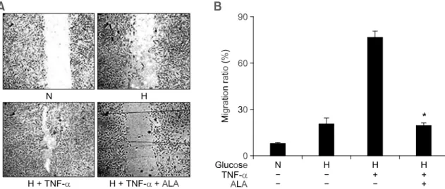Figure 1. Inhibitory effect of ALA on migration of VSMCs stimulated by high glucose and TNF-  (10 ng/ml)