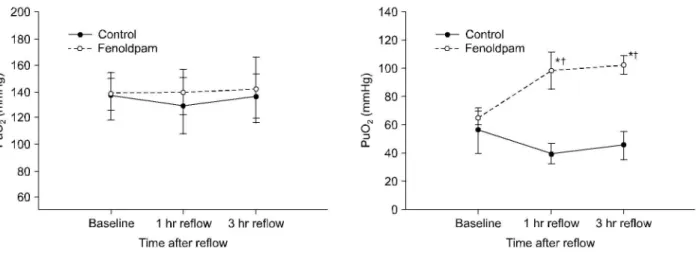 Fig. 4. Changes in renal vascular resistance during the course of the experiment. RVR: renal vascular resistance, ACC: aortic cross clamping