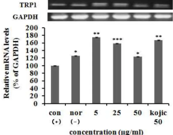 Fig. 3. MITF mRNA expression rate of extract from Angelica gigas Nakai. on melanoma cell (B16F10)