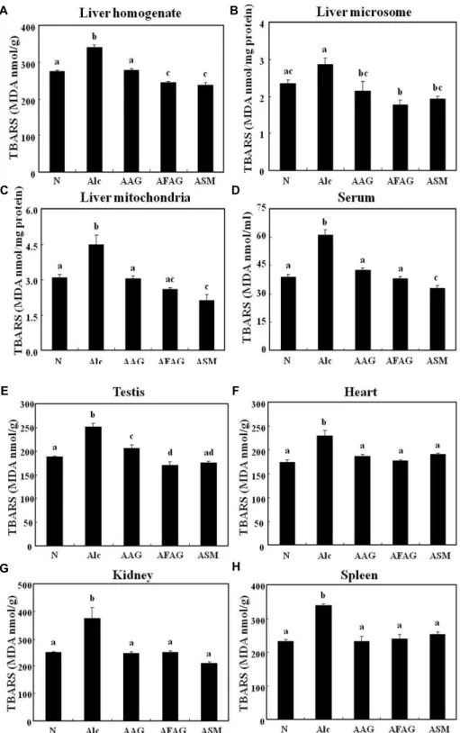 Fig. 3. Effect of AAG, AFAG, and ASM on TBARS (A, B, C, D, E, F, G, H) in alcohol feeding rats