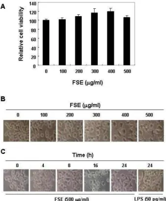 Fig. 1. Effects of FSE on cell viability and morphology in RAW 264.7 macrophages. (A) After RAW 264.7 cells were  seed-ed, the cells were treated with the indicated  concen-trations of FSE for 24 h, and then cell viability was  meas-ured by MTT assay