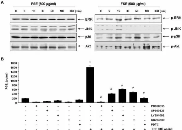 Fig. 5. Activation of MAPKs and PI3K/Akt signaling pathways by FSE treatment in RAW 264.7 macrophages