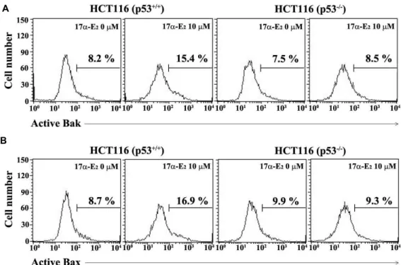 Fig. 5. Flow cytometric analysis of Bak activation (A) and Bax activation (B) in HCT116 (p53 +/+ ) and HCT116 (p53 -/- ) cells after 17α-E 2 treatment