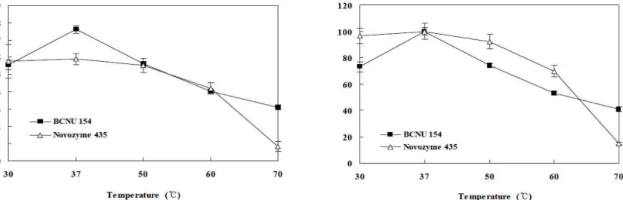 Fig. 2. Lipase activity shown by the clear zones formed around Pseudomonas sp. BCNU 154 colonies.