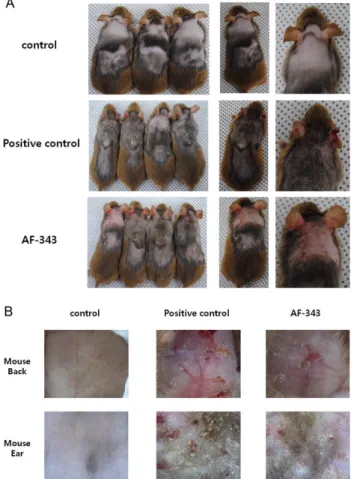 Fig. 1. Effect of AF-343 on clinical observations. AD-like skin lesions induced by attachment of mite patches on the backs of mice for 15 days, and AF-343 treated orally for 5 days