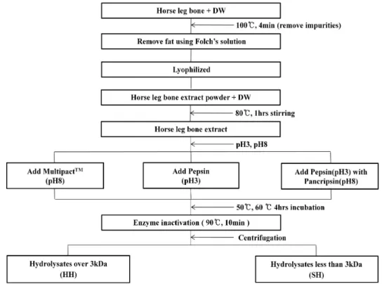 Fig. 1. Preparation procedure of Jeju crossbred horse’s leg bone extracts and its enzyme hydrolysates.추출물을 폐경기 골다공증 흰쥐에 급여 후 골다공증 개선이되었음을 보고되었다[22]