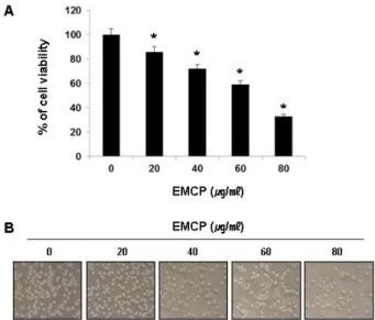 Fig. 1. EMCP inhibited cell proliferation in a dose-dependent manner in U937 human leukemia cells