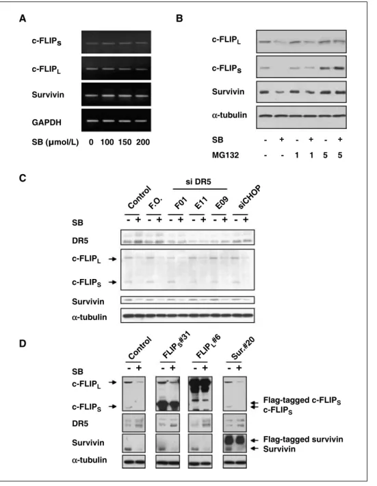 Figure 6. Silibinin-induced