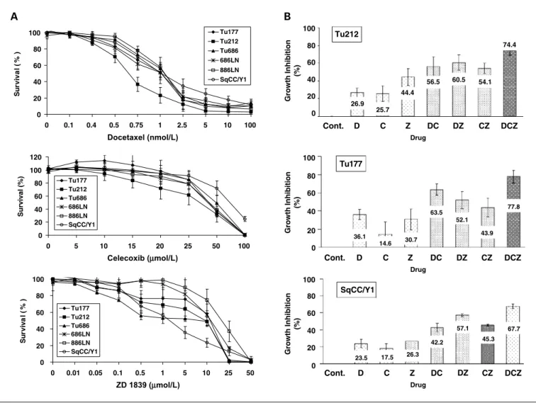 Fig. 1. Inhibition effect on SCCHN cell growth by single and combination drug treatment